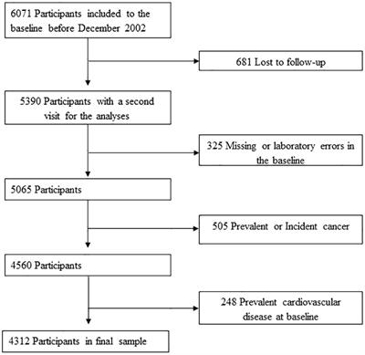 Repercussions of absolute and time-rated BMI “yo-yo” fluctuations on cardiovascular stress-related morbidities within the vascular-metabolic CUN cohort